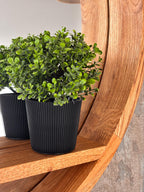 Detail of the floating shelf and solid wood frame
